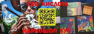 индика Славгород
