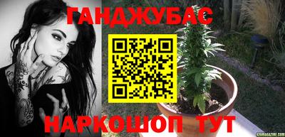 индика Славгород