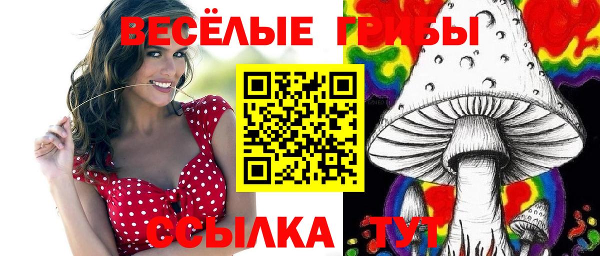 Псилоцибиновые грибы Psilocybine cubensis  Галлюциногенные грибы GOLDEN TEACHER  Осинники  купить   Вход с VPN 