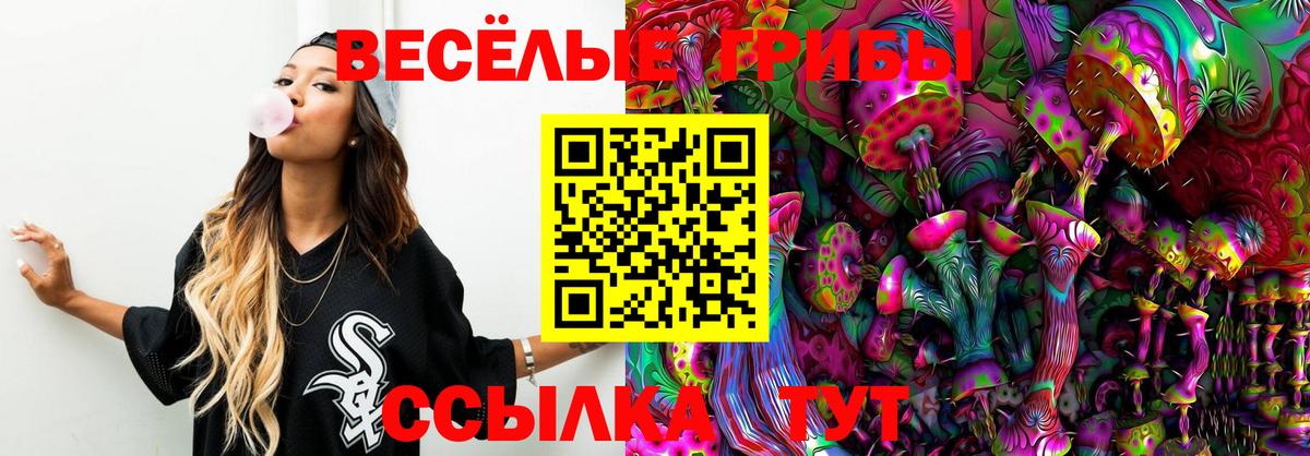 Псилоцибиновые грибы Cubensis Осинники